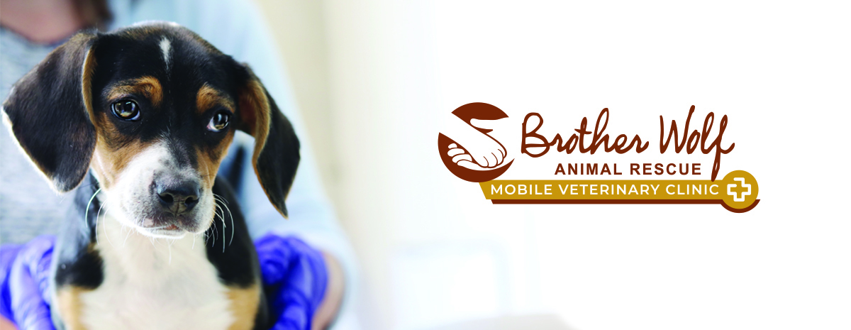 Second Mobile Clinic 